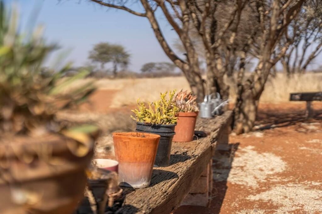 Tusker-Camping-Namibia_4