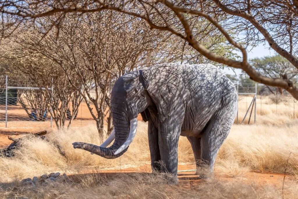 Tusker-Camping-Namibia_8